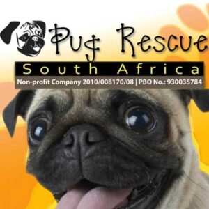 Image for NPO Pug Rescue South Africa.